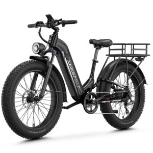 1800w-48v-17-5ah-36-mph-1780600593237-1 1800W 48V 17.5Ah 36+ Mph