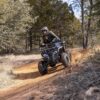 Coleman Powersports AT200R 169cc Gas Powered Adult ATV