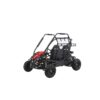 Coleman Powersports GK200 196cc Gas Powered Dual Seat Go-Kart
