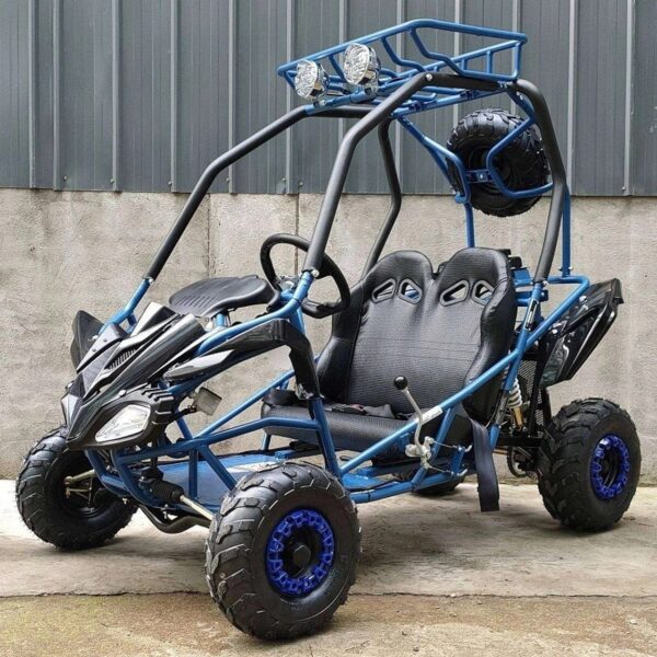 dongfang-125cc-kids-go-kart-type-gts-1780605434563-3 DongFang 125cc Kids Go Kart Type-GTS