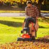 dr-power-leaf-vacuum-1780605481715-2 DR Power Leaf Vacuum