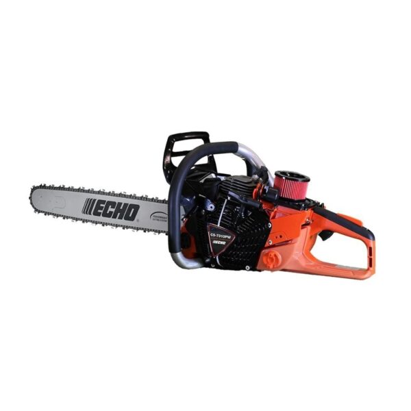 Echo Chainsaw