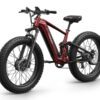 PUCKIPUPPY GoldenR Dual-Motor E-Bike