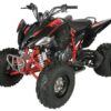 Regency PRO Ultra Sport 250cc ATV