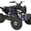 Regency PRO Ultra Sport 250cc ATV