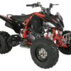 Regency PRO Ultra Sport 250cc ATV