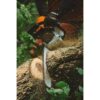 STIHL MS 462 C-M 28 72.2cc 28″ 13 Lbs Fuel-Efficient Gas-Powered M-Tronic C-M Chainsaw w/Bar & Chain