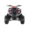 Tao Motor D125 Kids ATVs