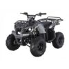 Tao Motor D125 Kids ATVs