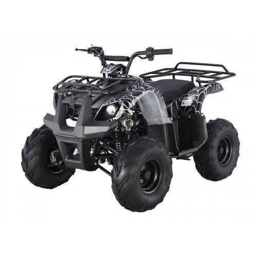Tao Motor D125 Kids ATVs