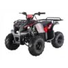 Tao Motor D125 Kids ATVs