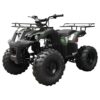 Tao T Force T125 Mid Size ATV