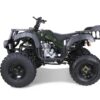 Taotao 250 Rhino Adult Utility ATV