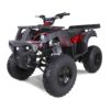 Taotao 250 Rhino Adult Utility ATV