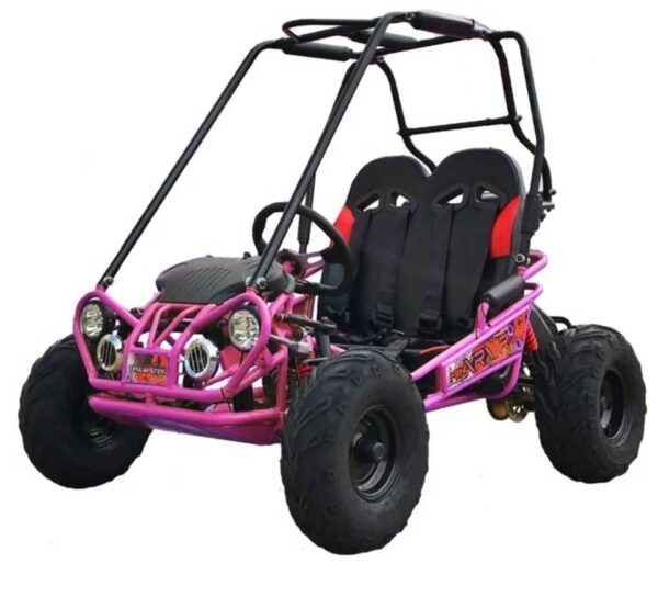 trailmaster-mini-xrx-go-kart-1780619920385-3 TrailMaster MINI XRX+ Go-Kart