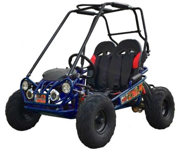 trailmaster-mini-xrx-go-kart-1780619920386-4 TrailMaster MINI XRX+ Go-Kart