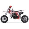TrailMaster TM10 110cc Automatic 4-Stroke Dirt Bike